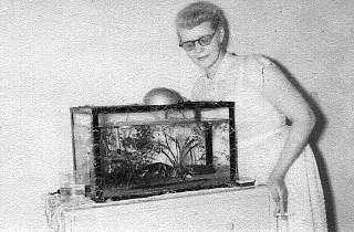 vera dagion aquarium newburgh ny 1959.jpg